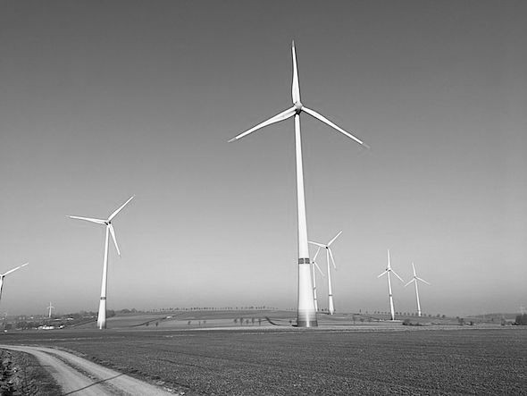 Windkraft: Änderung Bundesnaturschutzgesetz